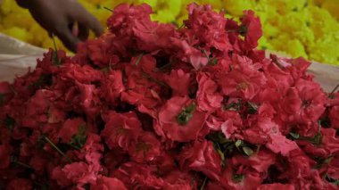 Bir buket canlı kırmızı çiçek - Taze ve güzel taç yaprakları