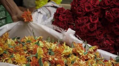 Hint Çiçek Pazarı Renkli Çiçek Seyahati