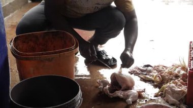 Tavuk Hazırlama Ustası - Kesme ve Temizleme İçin Adım Adım Bir Kılavuz