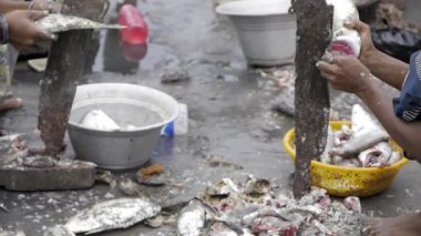 Dokunulmamış Kaos - Balık Pazarı Kaprisli