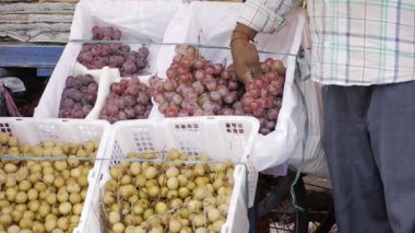Canlı Üzüm Ödülü - Lezzetli Gurme Yolculuğu