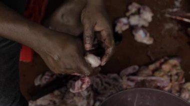 Kolay Tavukçuluk Ustası Adım Adım Kılavuzu