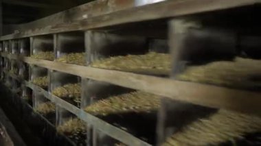 Hint Pirinç Değirmeni 'nin Kırsal Zarafetinin Açılışı