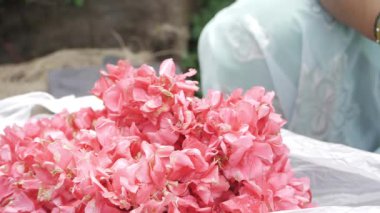 Çiçeklere uzanan eli bol bukette