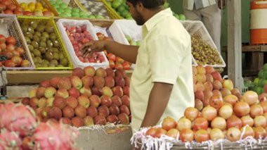 Canlı Meyve Pazarı - Satılık Taze Elmalar ve Portakallar