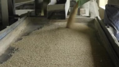 India 's Rice Mill - Gelişmiş Teknoloji ile Verimli Tahıl İşlemi
