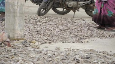 Hindistan 'ın Gizli Mücevheri - Unutulmaz Balık Pazarı' nda Bir Yolculuk