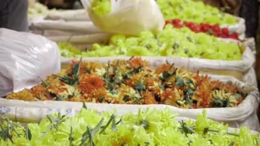 Canlı Çiçek Ödülü - Hint Çiçek Pazarı 'nda Bir Yolculuk