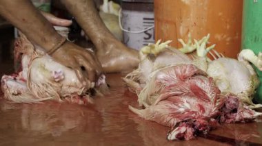 Tavuğu Kesme Hassasiyeti ve Özenle