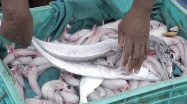 Markette Taze Balığı Tutmak - Sürece Etkin Bir Bakış