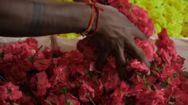 Canlı Hint Çiçek Pazarı Saadeti