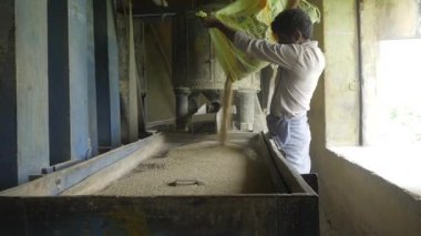 Pirinç İşleminin Gizli Dünyasını Keşfetmek - Sahnelerin Ardında Bir Yolculuk