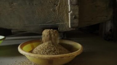 Verimli Tahıl Sıralama - Hint Pirinç Fabrikasının Kalbi