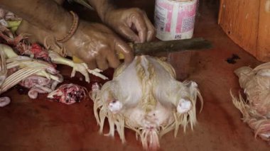 Tavuk Kasaplığı Sanatı Ustası Adım Adım Kılavuzu