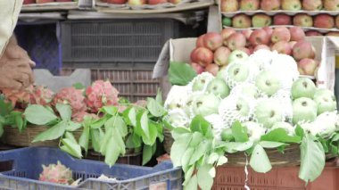 Taze & Canlı Elmalar - Mevsimsel İyiliğin Enfes Hasadı