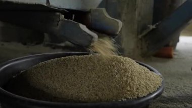 Etkili Pirinç Değirmenciliği - Aerodinamik Üretim Süreci