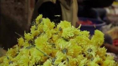 Canlı Hint Çiçeği Pazarı - Tuhaf Sarı Yapraklar Bekliyor