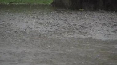 Sakin sularda canlı yağmur damlaları Büyüleyici bir dinginlik