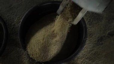 Otomatik Pirinç İşlemi - Tahılları Verimli Sıralama