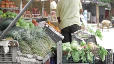 Meyve Piyasası Titreşimi Renkli Taze Ürünler Cenneti