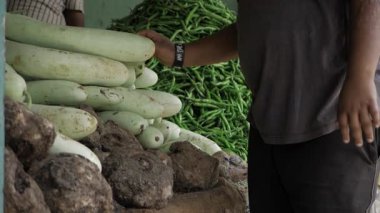 Tazeliği Keşfedin - Bir bakışta Özenle Seçilmiş Yeşil Sebzeler