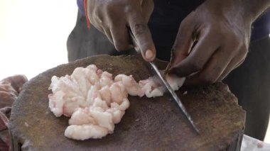 Bir Mutfak Ustasının Uzmanca Yakından Bakışı Kesiliyor