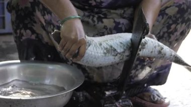 Mutfağın Kalbinde Gurme Yolculuğunu Kesen Usta Balık