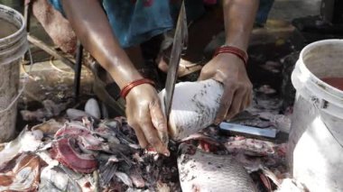 Usta Balık Hazırlama Sanatsal Yetenek Gösterimi