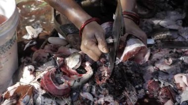 Etkili Balık Kesme Tekniği Yakından Bakış Mutfak Hassasiyet Sanatı