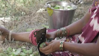 Uzman Pirzola - Güney Hindistan Mutfağında Usta Eli