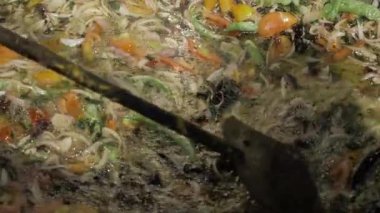 Hareketli Güney Hint Aşçılığı - Heyecan verici Mutfak Zevki