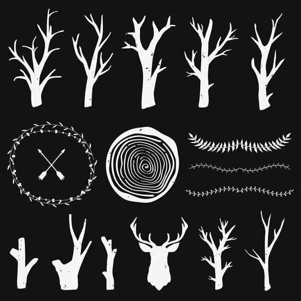 Conjunto gráfico vectorial con elementos de diseño forestal. Ramas, anillos de árboles, separadores de hojas. Estilo tribal y boho. Diseño rústico . — Archivo Imágenes Vectoriales