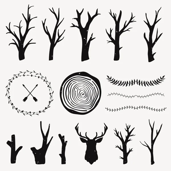 Conjunto gráfico vectorial con elementos de diseño forestal. Ramas, anillos de árboles, separadores de hojas. Estilo tribal y boho. Diseño rústico . — Archivo Imágenes Vectoriales