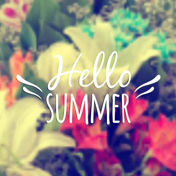 Vector background with blurred flowers and text "Hello Summer". Vintage design. — Stock Vector