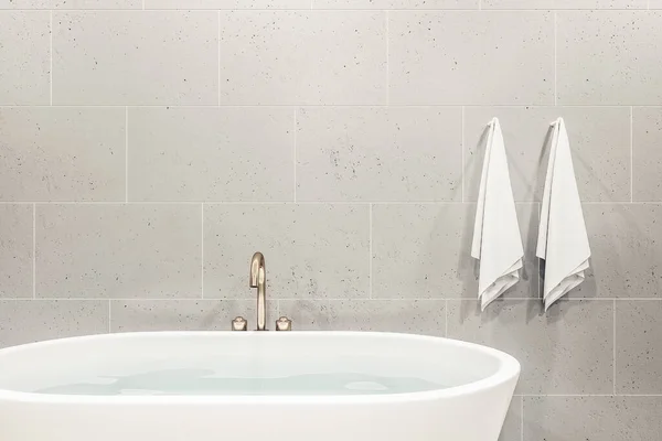 舒适的浴室 带有浴室和空白装饰墙 风格和卫生概念 3D渲染 — 图库照片