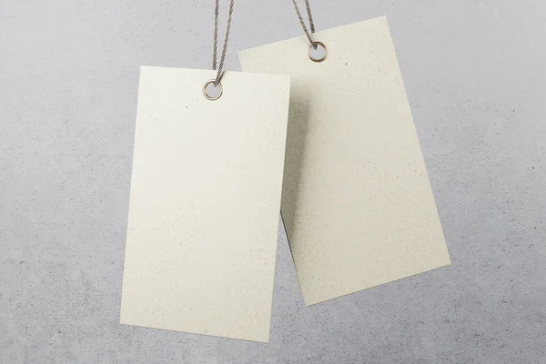 Twee Blanco Kraftpapier Eco Hangende Tags Van Gerecycleerde Materialen Katoenen — Stockfoto
