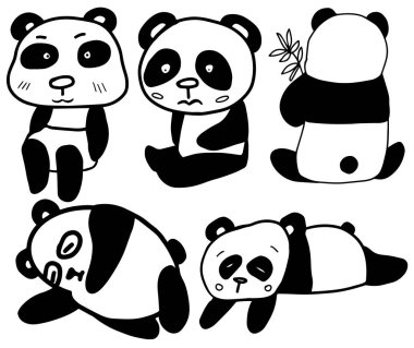 Bir dizi panda çizimi, vektör çizimi. Panda ayısı karalama tarzı..