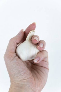 Sarımsak, izole edilmiş beyaz arka planda elinde duruyor. Taze sebzeler. Beyaz sarımsak başı elinde yatıyor.