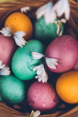 Paskalya geçmişi. Sepette paskalya yumurtası. Sarı, yeşil ve mor yumurtalarla süslü bir Paskalya sepeti ahşap bir masada duruyor..