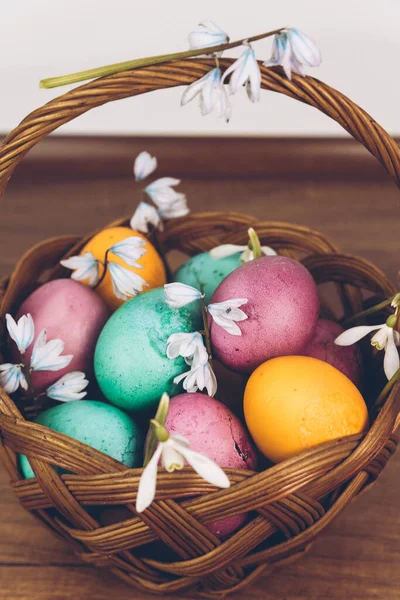 Easter background. Easter eggs in a basket. An Easter basket with yellow, green and purple eggs and decorated with snowdrops stands on a wooden table.