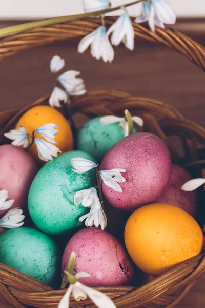 Easter background. Easter eggs in a basket. An Easter basket with yellow, green and purple eggs and decorated with snowdrops stands on a wooden table.