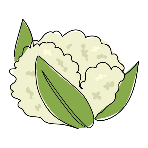 Le chou-fleur est dessiné avec une ligne solide. Légumes sains. L'objet est dessiné avec une seule ligne dans un style doodle. Produits du marché des agriculteurs. — Image vectorielle