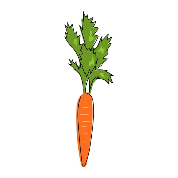 Les carottes sont représentées comme une ligne solide. Délicieux légume. L'objet est dessiné avec une seule ligne dans un style doodle. Un produit du marché fermier. Une ligne continue tracée. Illustration de stock — Image vectorielle