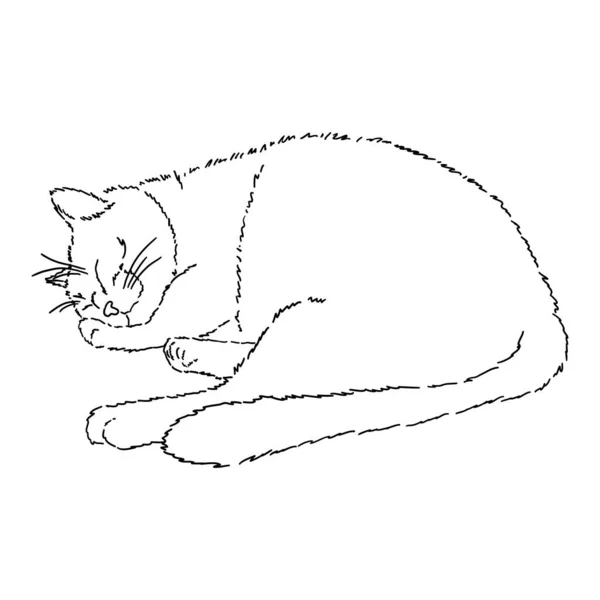De Chat Endormi Images Vectorielles De Chat Endormi Vecteurs Libres De Droits Page Depositphotos De Chat Endormi Images Vectorielles De Chat Endormi Vecteurs Libres De Droits Page Depositphotos