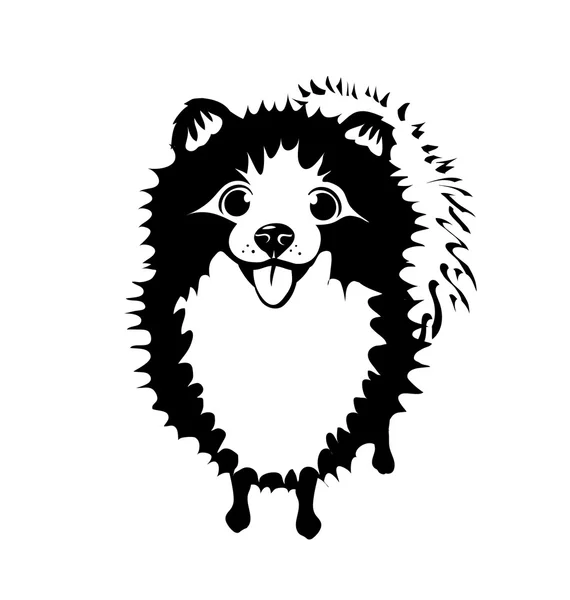 Ασπρόμαυρη εικονογράφηση του αστεία Pomeranian — Διανυσματικό Αρχείο