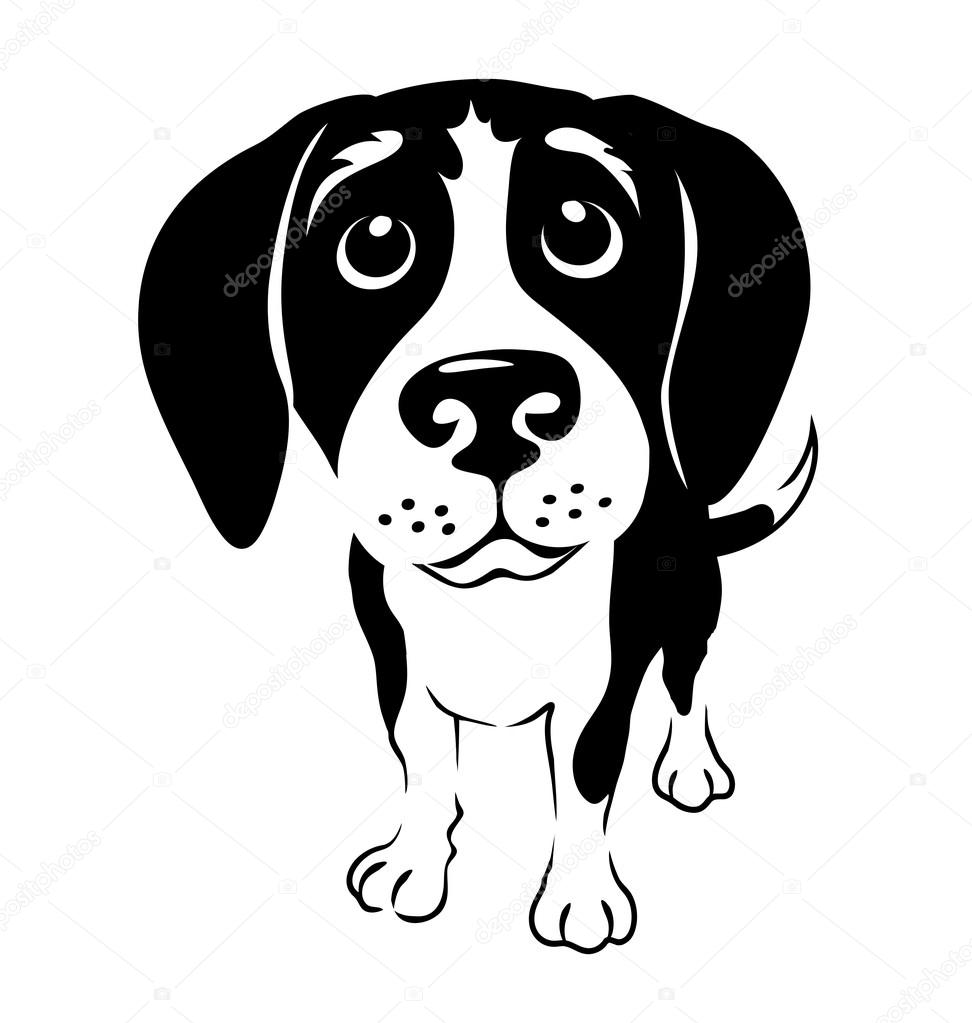 black and white illustration of funny Beagle