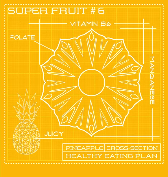 Flat white line drawing of fruit. technical drawing of a tomato Stock Vector