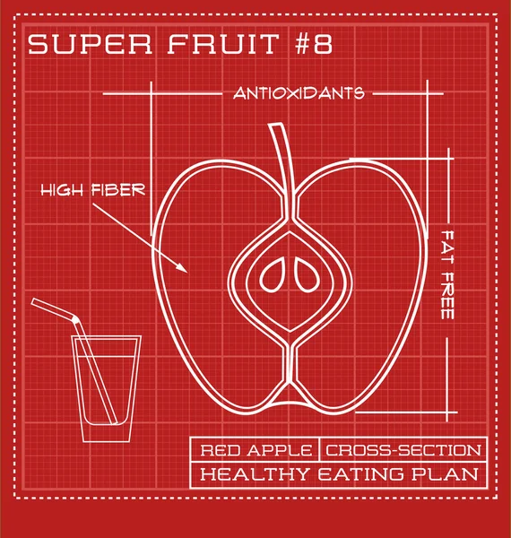 Flat white line drawing of fruit. technical drawing of a tomato Vector Graphics