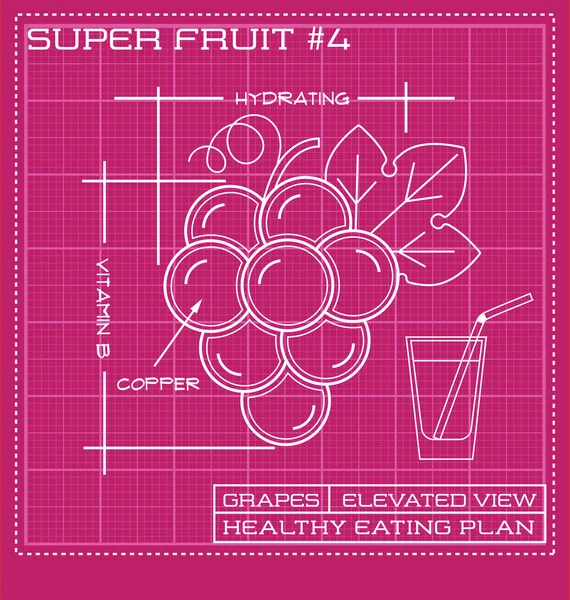 Flat white line drawing of fruit. technical drawing of a tomato Royalty Free Stock Vectors