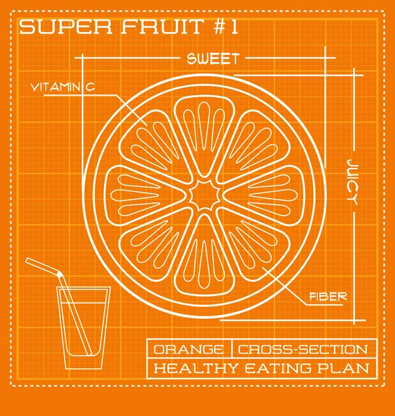 Flat white line drawing of fruit. technical drawing of a tomato Royalty Free Stock Illustrations
